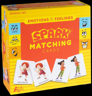 Super Sale Emotions Matching Cards