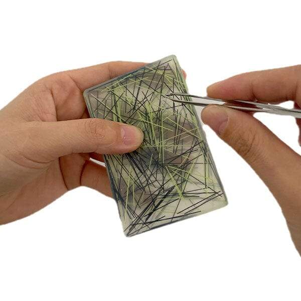 birds nest picky pad