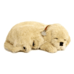 breathing pet dog