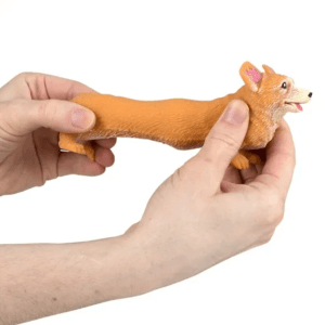 squeeze shape corgi