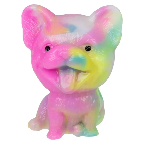 rainbow corgi taba