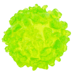 squishy rock candy