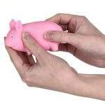 pig squishy