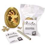 dragon dig kit