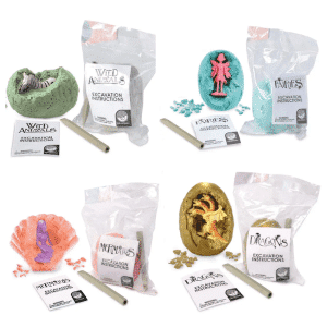 excavation dig kit