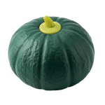 green pumpkin squishy