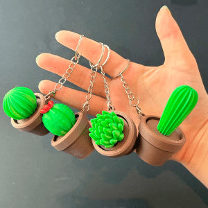 Succulent Fidget Clicker Keychain