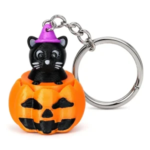Black Cat in A Pumpkin Halloween Fidget Clicker Keychain