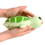 giant turtle squishy